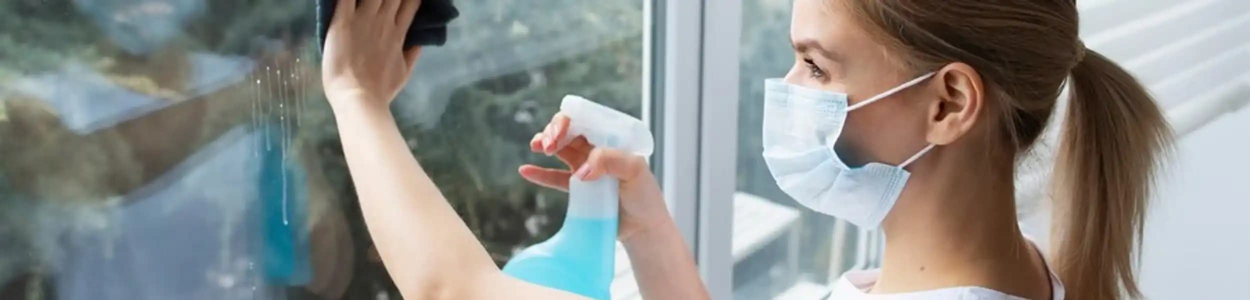 Window Cleaning Service