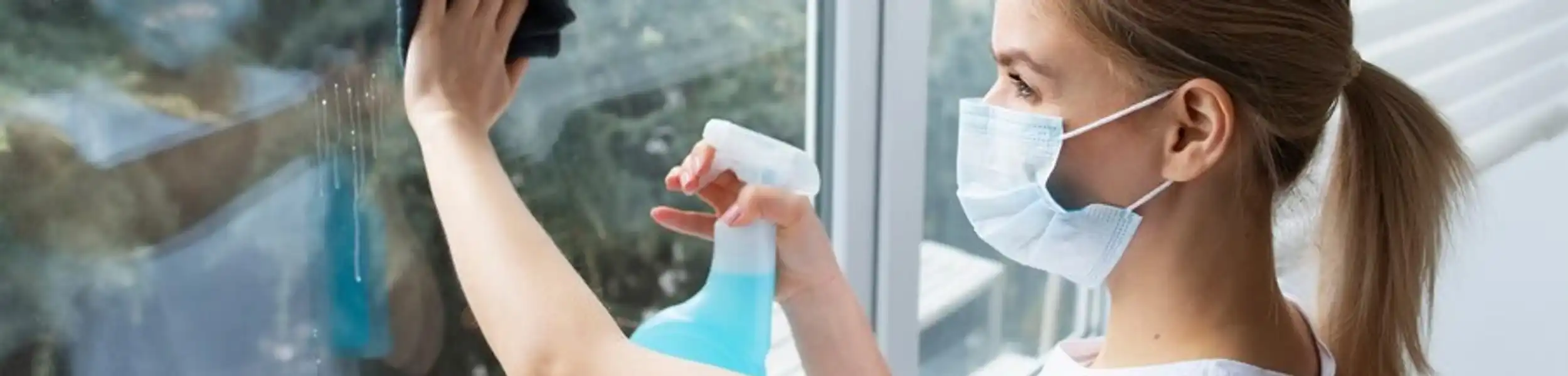 Window Cleaning Service